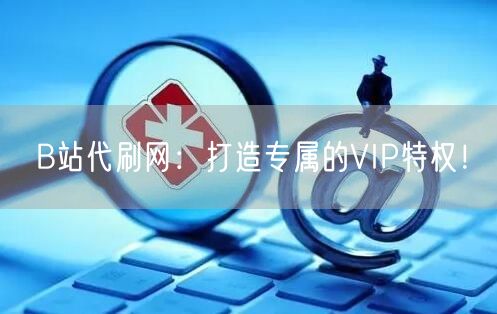 B站代刷网：打造专属的VIP特权！