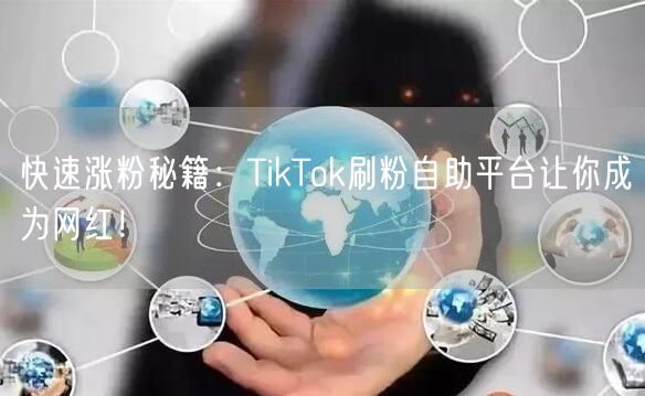 快速涨粉秘籍：TikTok刷粉自助平台让你成为网红！