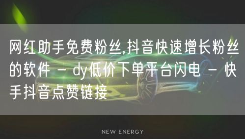 网红助手免费粉丝,抖音快速增长粉丝的软件 - dy低价下单平台闪电 - 快手抖音