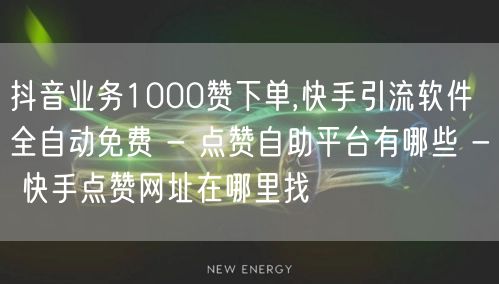 抖音业务1000赞下单,快手引流软件全自动免费 - 点赞自助平台有哪些 - 快手