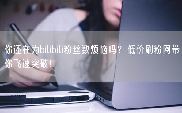 你还在为bilibili粉丝数烦恼吗？低价刷粉网带你飞速突破！