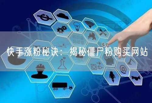 快手涨粉秘诀：揭秘僵尸粉购买网站