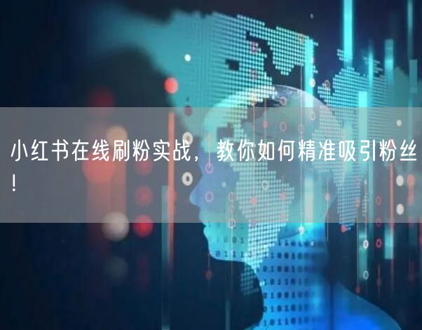 小红书在线刷粉实战，教你如何精准吸引粉丝！