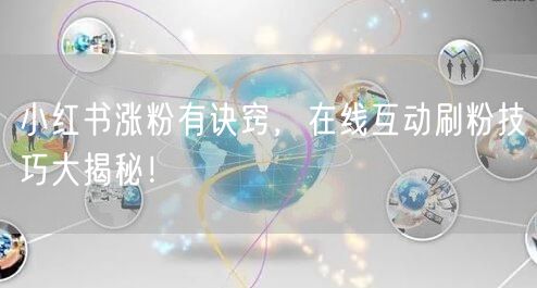 小红书涨粉有诀窍，在线互动刷粉技巧大揭秘！