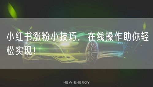 小红书涨粉小技巧，在线操作助你轻松实现！