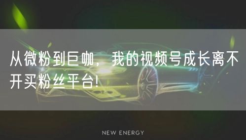 从微粉到巨咖，我的视频号成长离不开买粉丝平台!