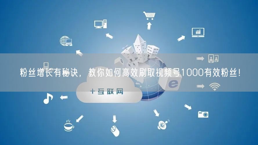 粉丝增长有秘诀，教你如何高效刷取视频号1000有效粉丝！