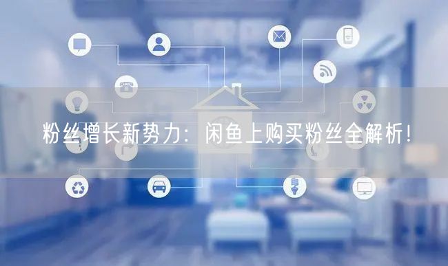 粉丝增长新势力：闲鱼上购买粉丝全解析！