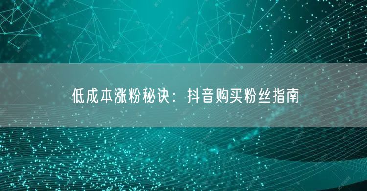 低成本涨粉秘诀：抖音购买粉丝指南