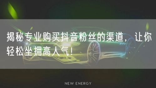 揭秘专业购买抖音粉丝的渠道，让你轻松坐拥高人气！