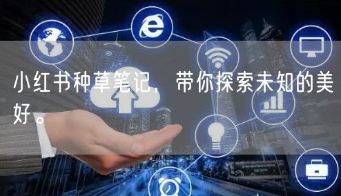 小红书种草笔记，带你探索未知的美好。