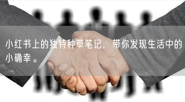 小红书上的独特种草笔记，带你发现生活中的小确幸。