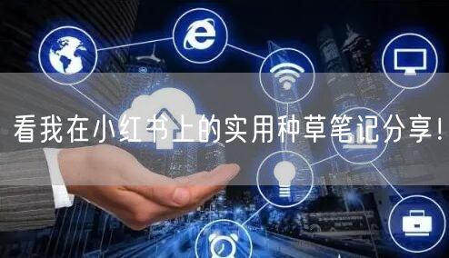 看我在小红书上的实用种草笔记分享！