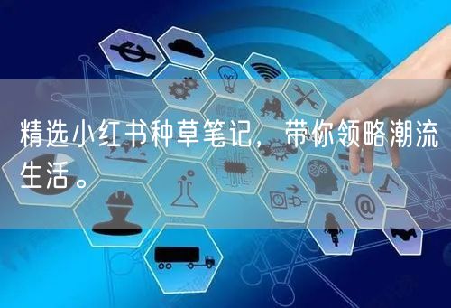 精选小红书种草笔记，带你领略潮流生活。