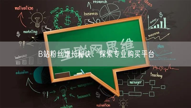 B站粉丝增长秘诀：探索专业购买平台