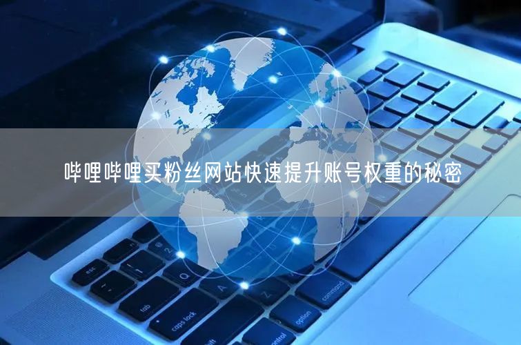 哔哩哔哩买粉丝网站快速提升账号权重的秘密