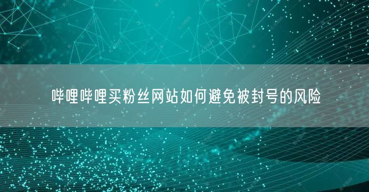 哔哩哔哩买粉丝网站如何避免被封号的风险