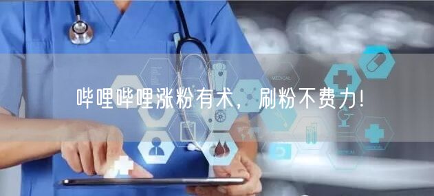 哔哩哔哩涨粉有术，刷粉不费力！