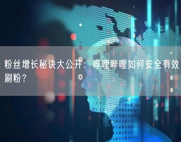 粉丝增长秘诀大公开：哔哩哔哩如何安全有效刷粉？