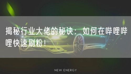 揭秘行业大佬的秘诀：如何在哔哩哔哩快速刷粉！
