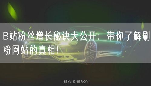 B站粉丝增长秘诀大公开：带你了解刷粉网站的真相！