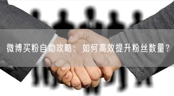 微博买粉自助攻略：如何高效提升粉丝数量？