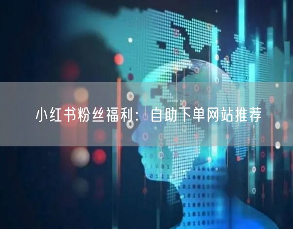 小红书粉丝福利：自助下单网站推荐