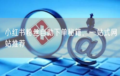 小红书粉丝自助下单秘籍，一站式网站推荐