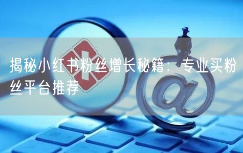 揭秘小红书粉丝增长秘籍：专业买粉丝平台推荐