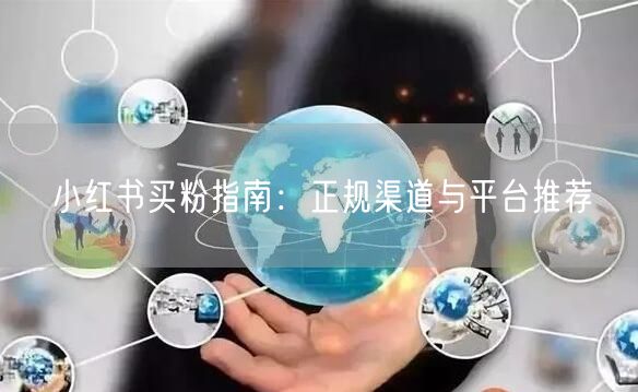 小红书买粉指南：正规渠道与平台推荐
