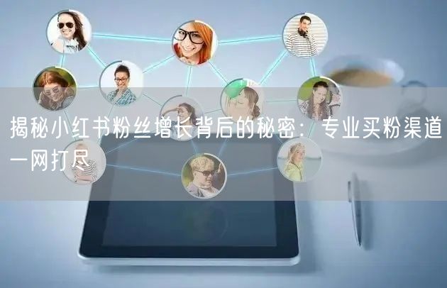 揭秘小红书粉丝增长背后的秘密：专业买粉渠道一网打尽