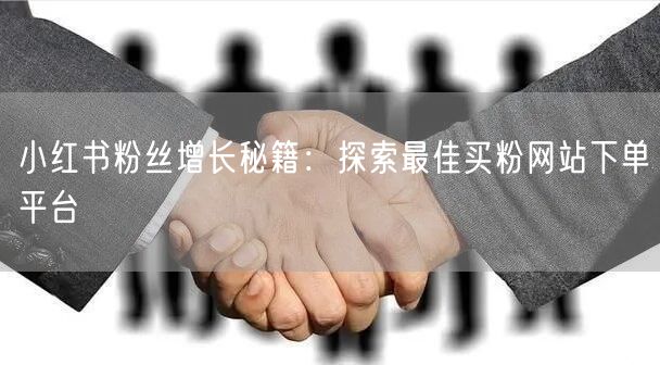 小红书粉丝增长秘籍：探索最佳买粉网站下单平台