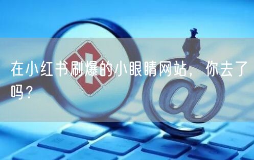 在小红书刷爆的小眼睛网站，你去了吗？