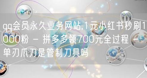 qq会员永久业务网站,1元小红书秒刷1000粉 - 拼多多领700元全过程 - 