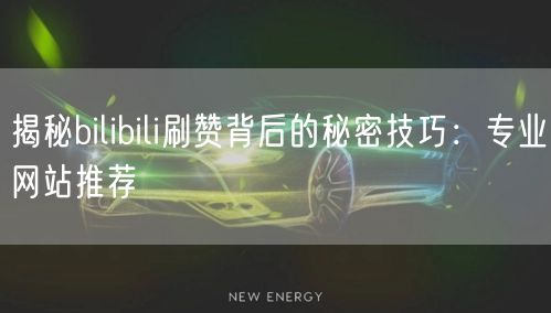 揭秘bilibili刷赞背后的秘密技巧：专业网站推荐