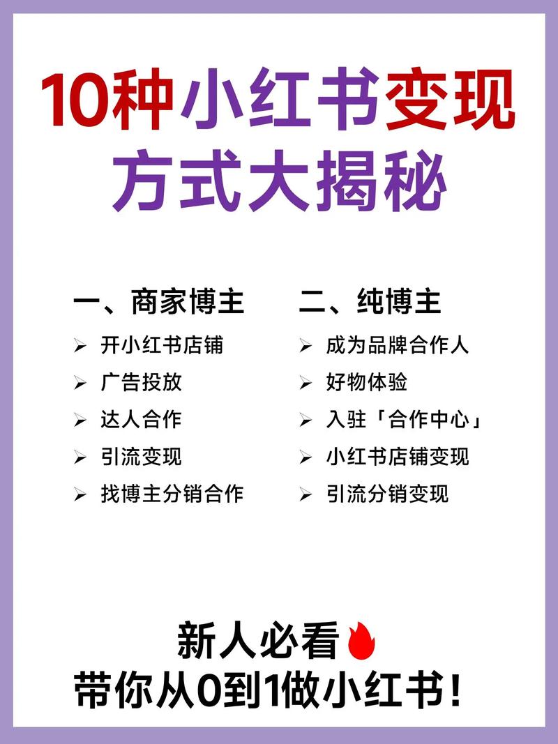 **“小红书粉丝宝地：创意转化的价值乐园”**