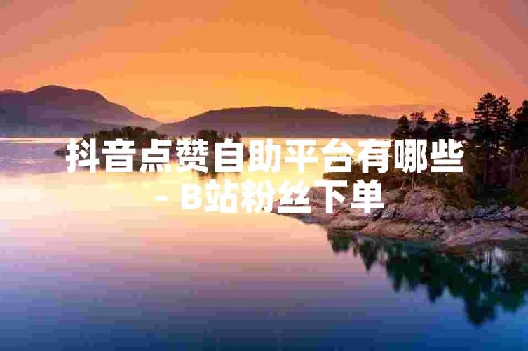 解锁抖音新高度，1000粉丝自助平台助你前行
