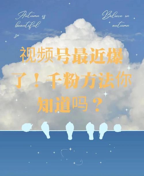 **标题：揭秘：如何凭借1000抖音粉丝，让你的作品在海量内容中脱颖而出？**